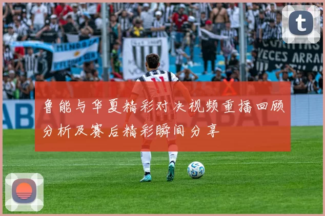 鲁能与华夏精彩对决视频重播回顾分析及赛后精彩瞬间分享