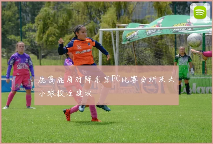 鹿岛鹿角对阵东京FC比赛分析及大小球投注建议