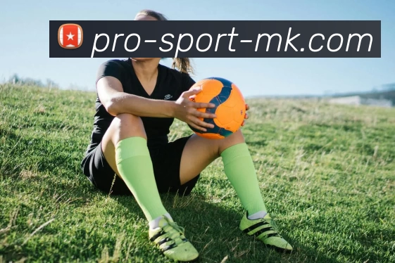 MK体育APP 高清赛事图